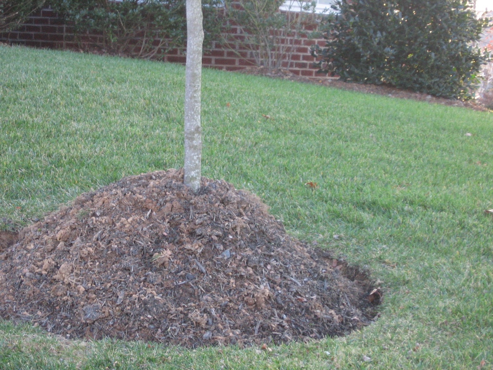 Kane Landscapes: Mulch Volcanoes